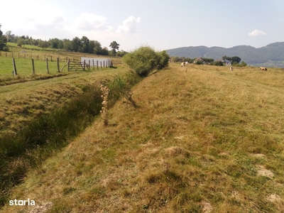 Teren intre castelul Bran si cetatea Rasnov