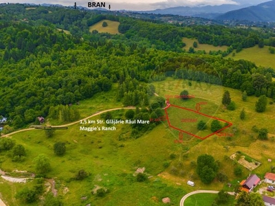 Teren Parcul National Bucegi/Str Glajarie Rau Mare/Panicel/Sohodol