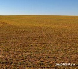 Cumparam terenuri arabile Ialomita, Braila, Galati