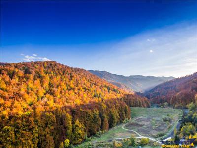 Tampa Gardens, Racadau, Brasov