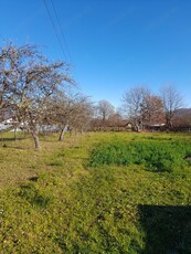 1100 mp Vaduri, Alexandru cel bun, Neamț