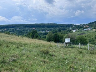 5500 mp teren Dobreni (Sarata) cu priveliste superba la padure ,asfalt