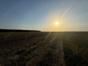 Anunț vânzare teren extravilan arabil - Tâncăbești, comuna Snagov Dn1, balotessti-saftica