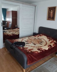 Apartament 2 camere Piata Victoriei