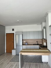 Apartament cu 2 camere zona Torontalului