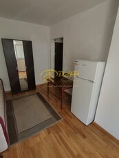 Apartament cu o camera - Centru - Palas