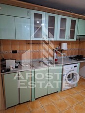 Apartament cu o camera, zona Iosefin - Dambovita