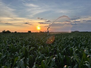 Arendez teren agricol