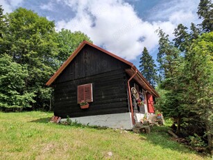 Cabana Casa de vacanta in Anina