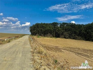 Calarasi Frumusani Teren de vanzare lotizat la padure cu utilitati