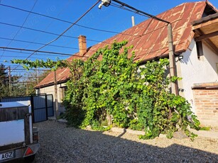 Casă de locuit, singur în curte, cu grădină mare, comuna Sălard, Bihor