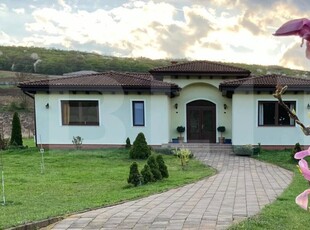 Casă superbă de vânzare, 5800mp teren, Ceauasu de Campie