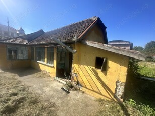 Casa de vanzare cartierul plopi Timisoara 585mp