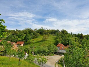 Casa la munte spre TRANSALPINA (satul ROD)