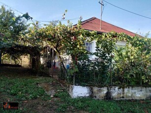 Casa la tara in Verveghiu cu 55 de arii de teren, Salaj