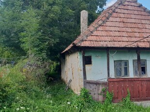 CASA traditionala MARAMURESEANA de STEJAR de vanzare