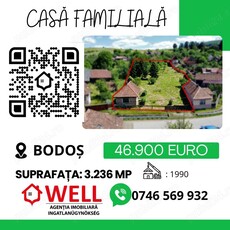 De vânzare casă familială în Bodoș