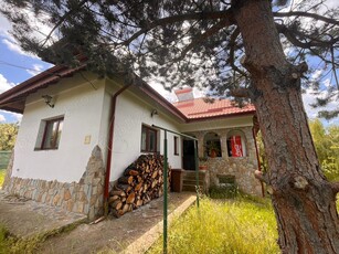 De vanzare casa de Vacanta Arges