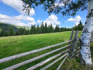 De vanzare Teren la Vatra Dornei, Sat Ortoaia, 5000 metrii patrati