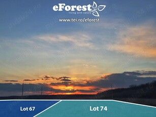 eForest 2 , terenuri la padure, 8300 euro lot