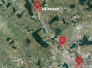 eForest, teren rezidential la padure, 800 mp Crevedia