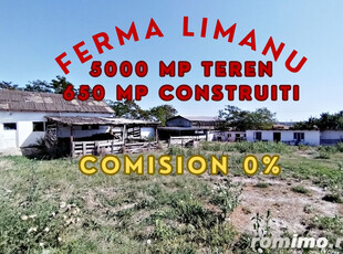 Ferma de vanzare in Limanu