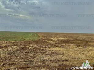 Frumusani Drumul Judetean spre Giurgiu Teren ieftin de vanzare