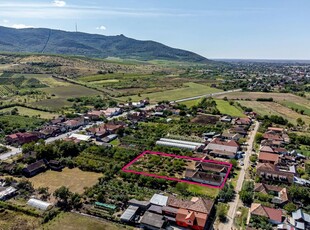 Gospodărie superbă, în Mâsca, Ideală pentru 2 familii.