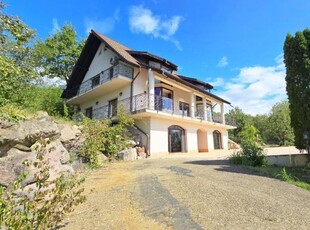 Hidden Hills Villa. Un Mansion House inconjurat de padure