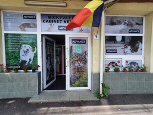 Inchiriez spatiu, negociabil, în cadru caruia s-au desfășurat activități veterinare