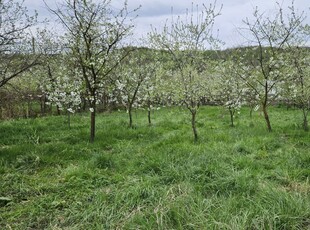 Intravilan în zona superba de deal