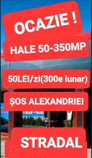 NUMAI 50 lei HALE ȘOS ALEXANDRIEI Stradal SuperPozitie Super Vad OCAZIE