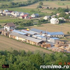 Oportunitate Unică! Fabrică de Lemn cu Pădure Proprie în Maramureș