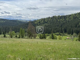 Pasune alpina si padure de vanzare langa Vatra Dornei