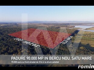 Pădure lângă Granița HU/RO/UA 90.000 mp Bercu Nou, Satu Mare 447196