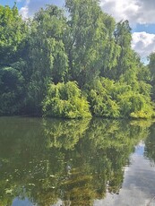 Piata Delfinului - Lacul Fundeni - Ostrov, vanzare teren 515mp.