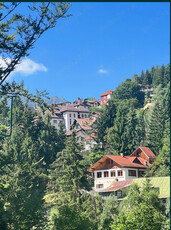 Sinaia - Furnica Teren 1200 mp