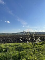 Teren 10 arii Sieu Sfântu