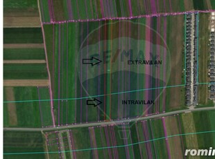 Teren 10,000 metri pătrați Tărlungeni / Strada Zizinului