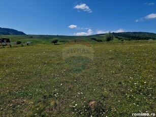 Teren 5,000mp Piatra-Neamt / Strada Punct Petruca