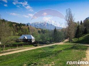 Teren 8500 mp, Valea Dălghiului - Dălghiu - vedere către Ciucaș