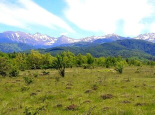 Teren, 860 mp, Valea Avrigului