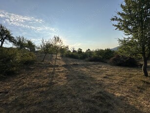 Teren agricol cu livadă