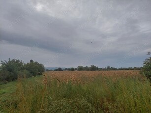 Teren Bacau Balta Albastra