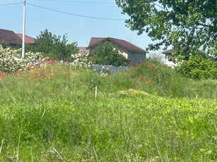 Teren casa intre Berceni si Vidra - Dealu Verde