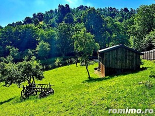 TEREN UNIC in Schei cu cabana in Schei