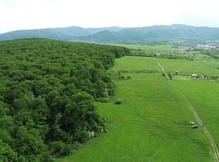 Teren de 5000 mp in Cisnadie, la doar 5 minute de Sibiu