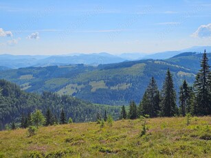 Teren de vanzare 28 hectare extravilan in Bucovina zona Carlibaba