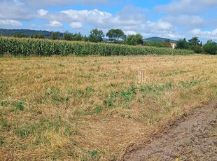 Teren de Vanzare 3.300 Mp, Intravilan, Glodeni