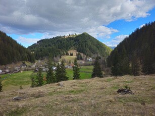 Teren de vanzare in Bucovina Comuna Breaza